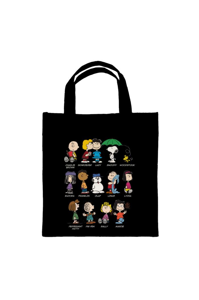 PEANUTS  FULL CHARACTERS LUNCH BAG