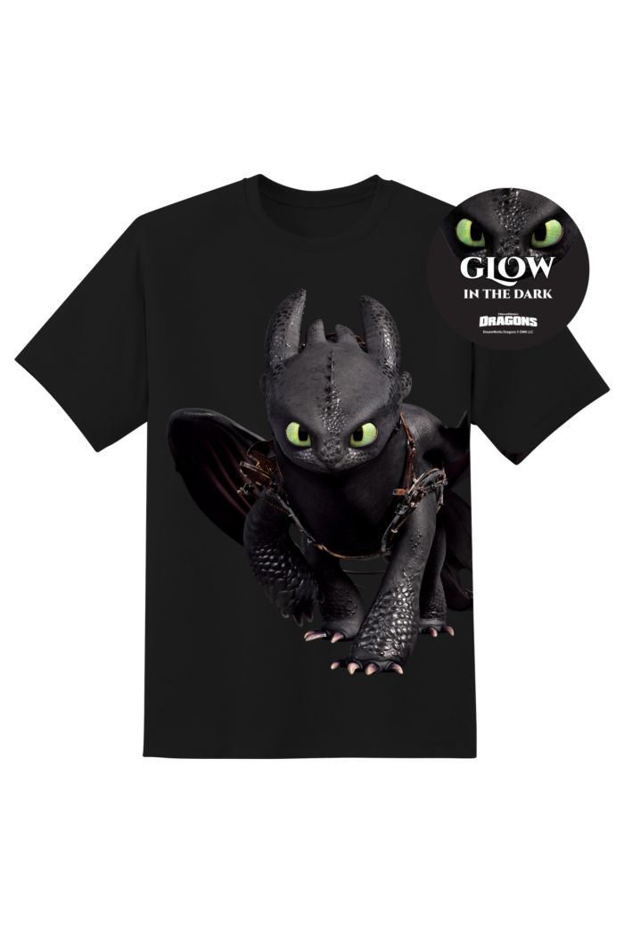HTTYD PANORAMA TOOTHLESS WALK-IN POSE T-SHIRT
