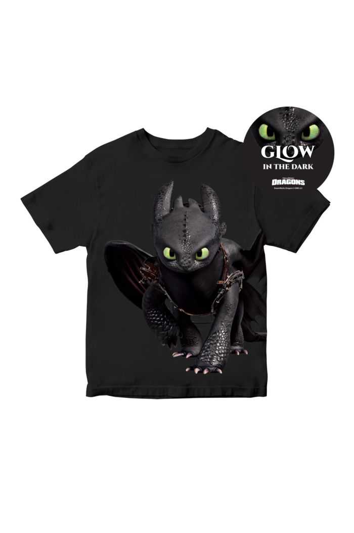 HTTYD PANORAMA TOOTHLESS WALK-IN POSE T-SHIRT - KIDS