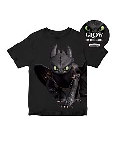 HTTYD PANORAMA TOOTHLESS WALK-IN POSE T-SHIRT - KIDS